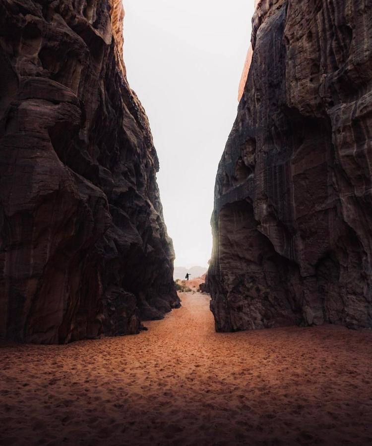 Wadirum Zeid Camp&Tours Wadi Rum Exterior photo