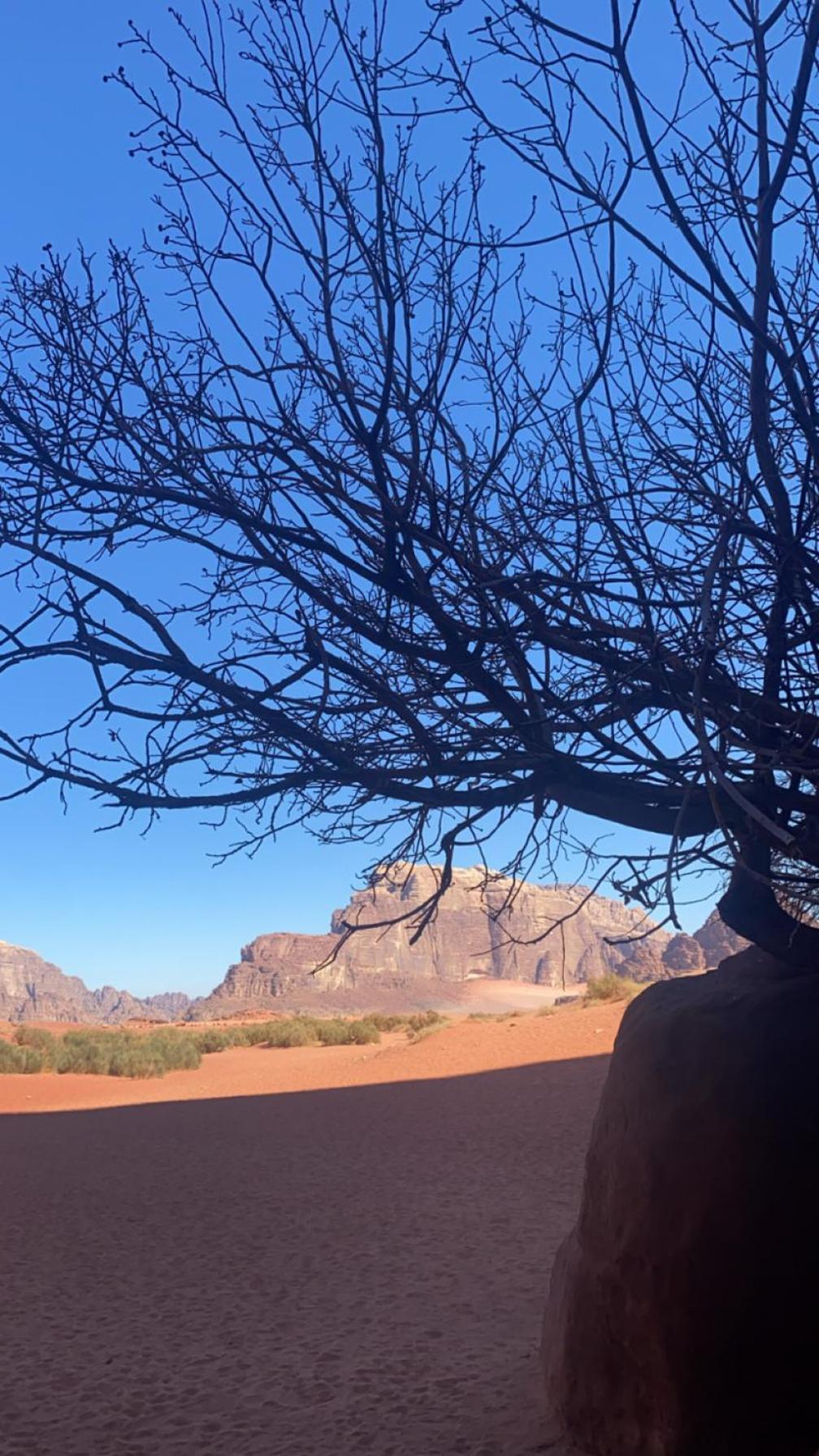 Wadirum Zeid Camp&Tours Wadi Rum Exterior photo